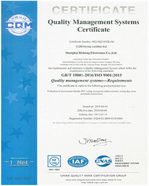 ISO9001英文2019-2022